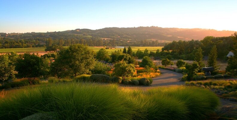 A Week in California Wine Country