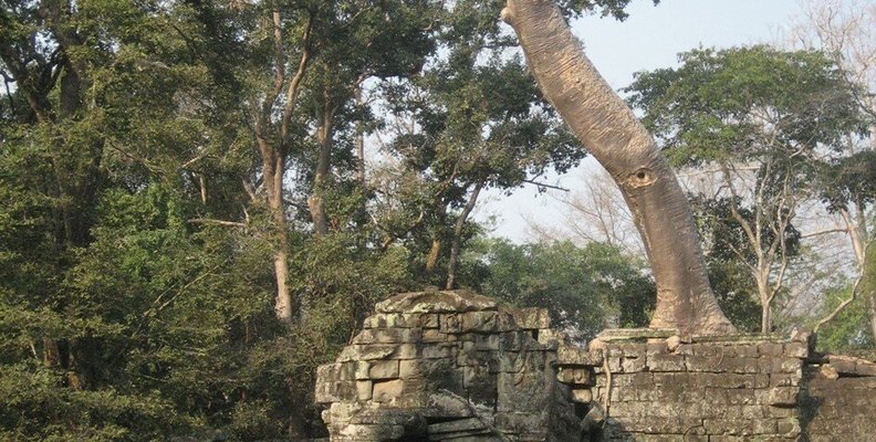 Visions of Vietnam: Tour Extension to Angkor Wat