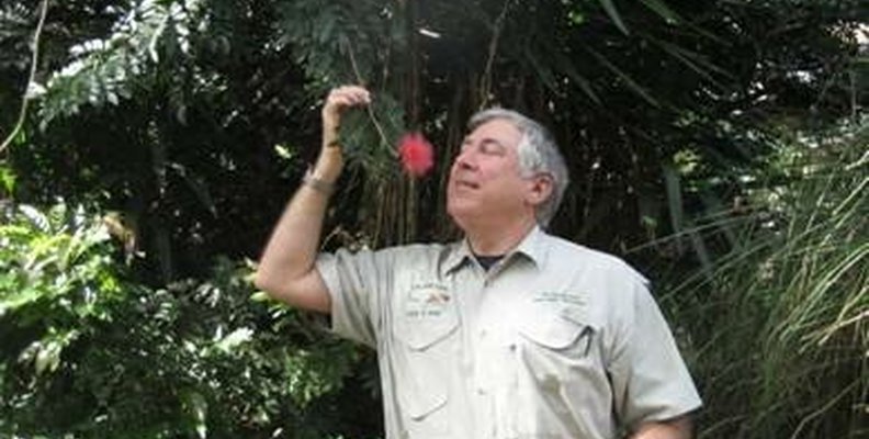 Costa Rica Vacation
